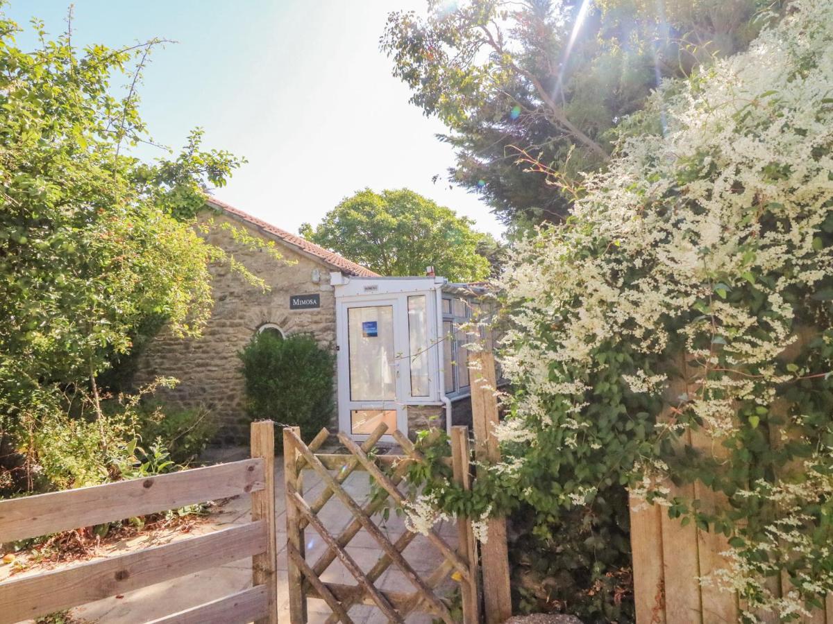 Mimosa Cottage, West Bexington Swyre Exteriör bild